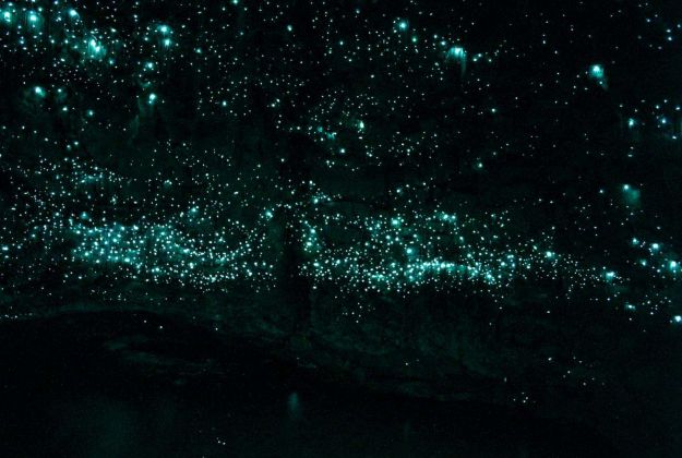 Spellbound Glowworms At End of Cave | Thermal Land Shuttle