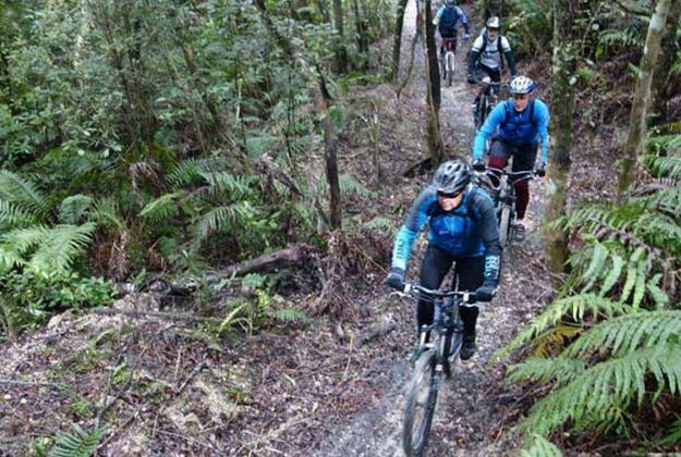 Te Ara Ahi Cycle Trail Tour | forest